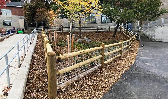 a rain garden between two walkways